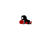 zzza3.GIF (965 �ֽ�)