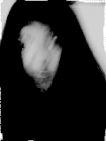 i3.jpg (6056 �ֽ�)