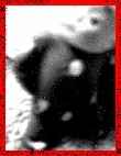 t8.jpg (2583 �ֽ�)